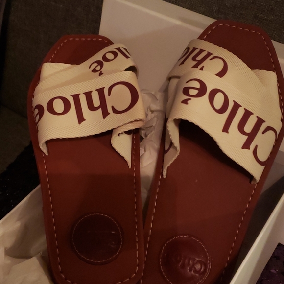 Chloe sands slides - Picture 2 of 5